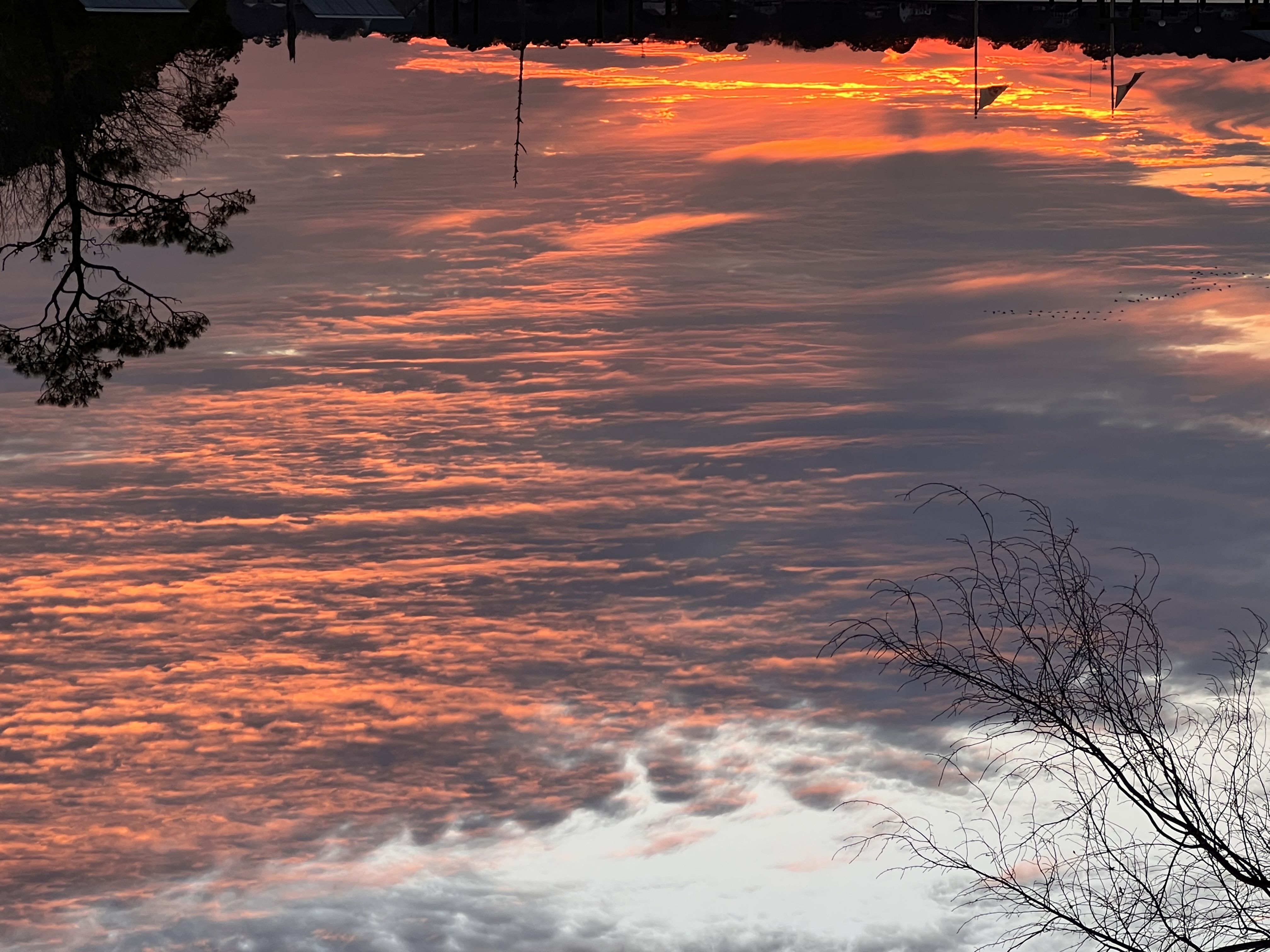 ./2023/01 - New Bern/IMG_6163.JPG